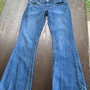 American Eagle Outfitters Blue Flare Jeans